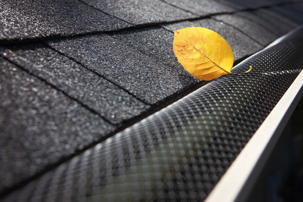 gutter guard preventing leaves.