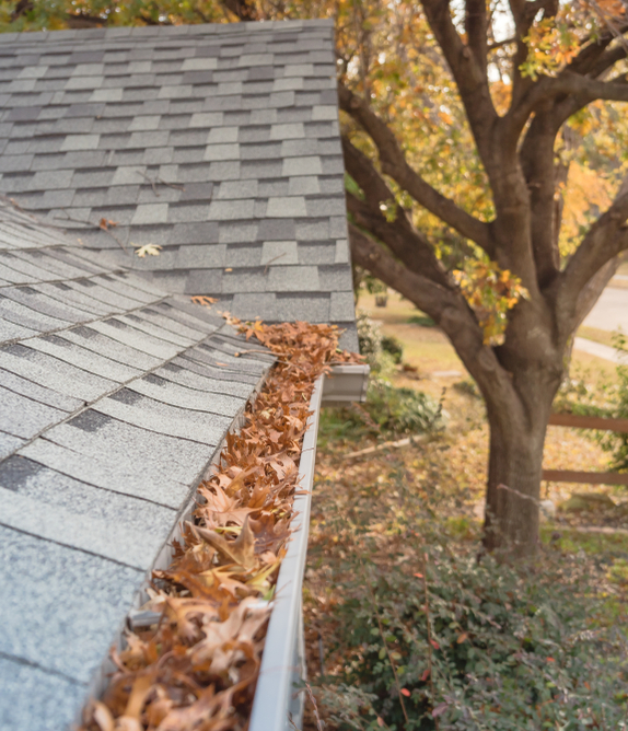 gutters filled with leaves before being cleaned.