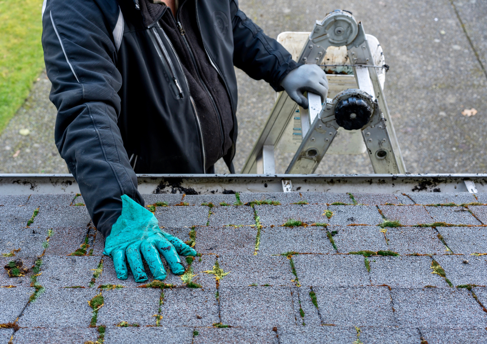 roofing contractor removing moss from roof.