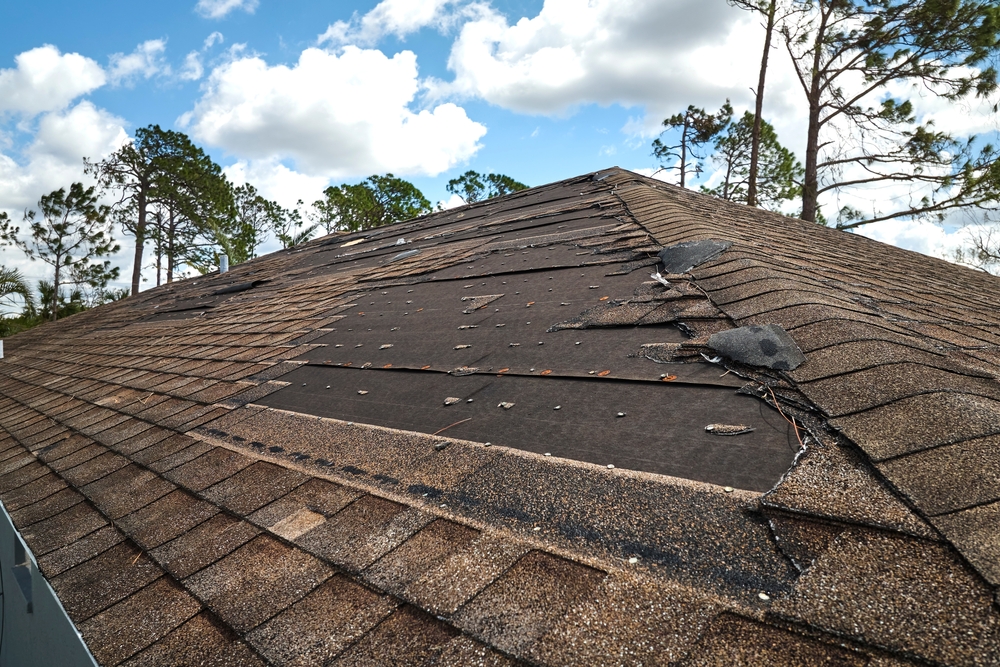 roof damage from a storm and missing shingles.